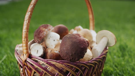 hongos del bosque en una canasta de mimbre. un ingrediente apetitoso en muchos platos gourmet