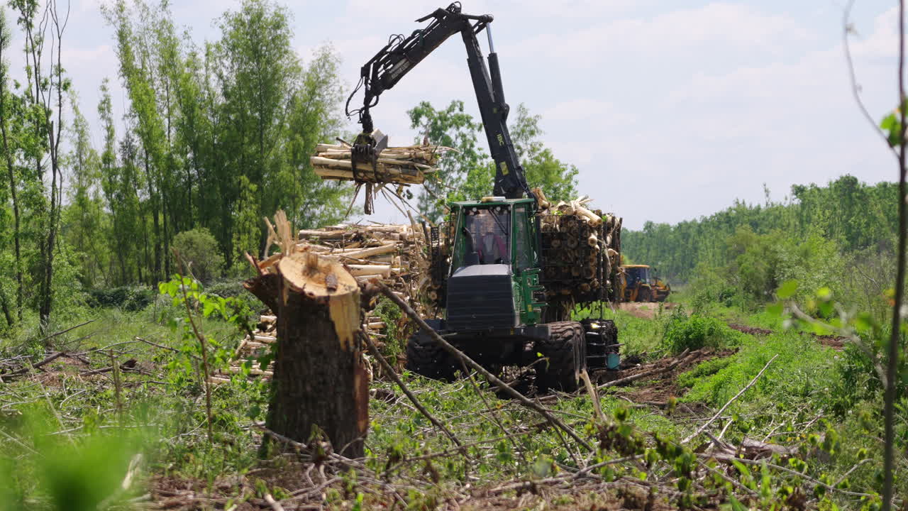 Harvester at work in the forest, unloading logs for processing and transport to the mill.
