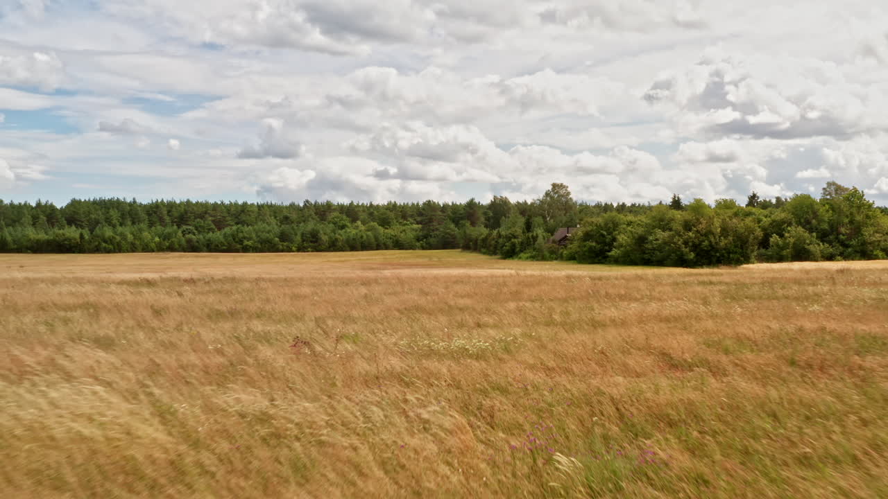 volando bajo sobre un pastizal hacia una casa de campo en el fondo