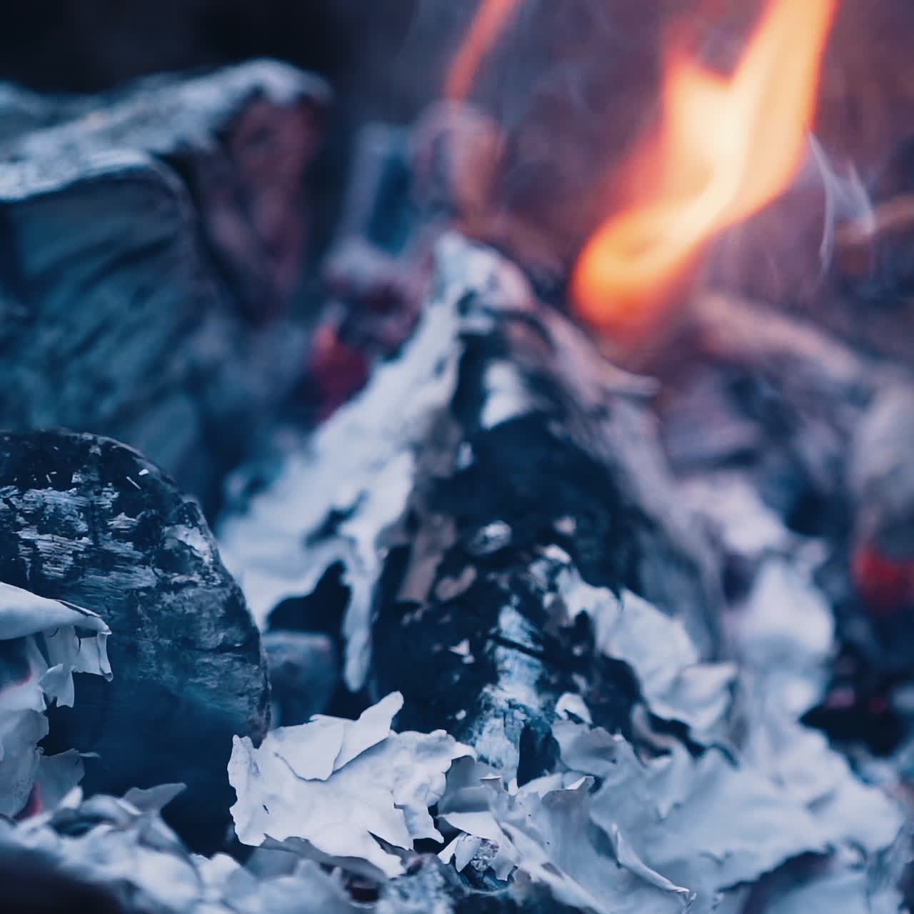 Close-up burning fire with ash. Paper burns on smoldered logs. Smoldering burning logs in fire with ash and coals. Slow motion.
