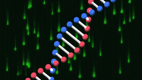 processing scientific data, dna strand and binary coding animation in focus