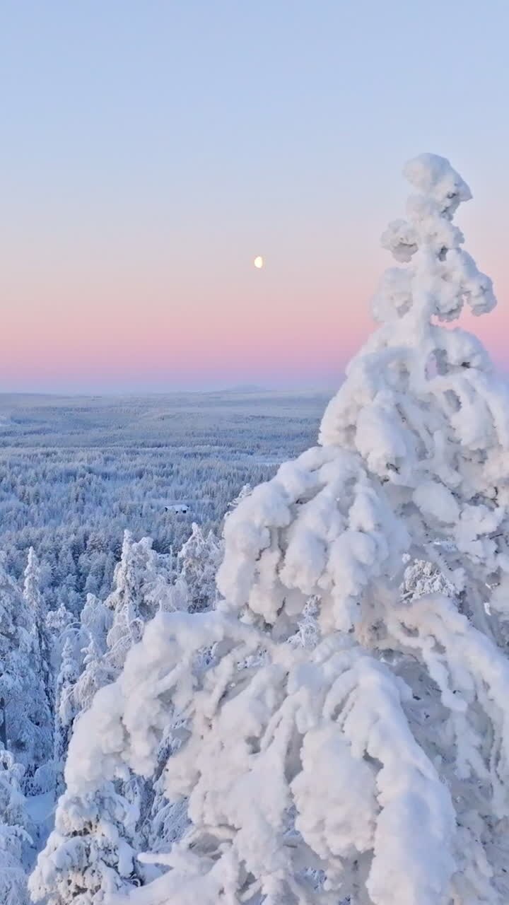 Polarnat i Lapland, drone flyver foran snedækket landskab og månen