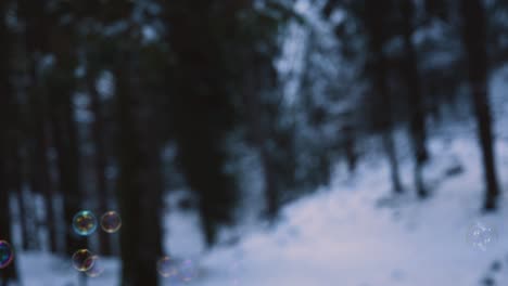 rainbow-colored-soap-bubbles-flying-suspended-in-the-air,-with-a-snowy-forest-in-the-background