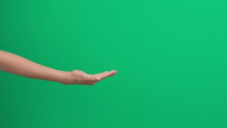 teenage boy stretching out and showing empty open palm of hand over green screen chroma key background