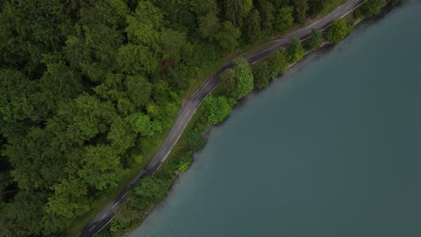 lakeside lake road in dense forest canopy, evergreen spruce tree, aerial top-down