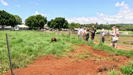 group of people working together on a farm