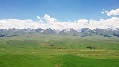 vast grasslands and mountains in a fine day.