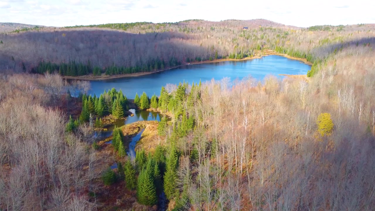 En fridfull skog och sjö i Estrie-regionen i Québec under tidig höst, flygvy