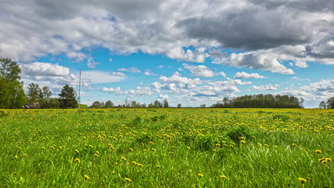 sunny day time-lapse