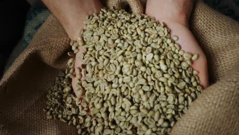 hands holding green coffee beans from a burlap bag
