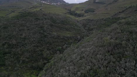 Greens-En-La-Ladera,-Peso-Da-Regua,-Portugal---Antena