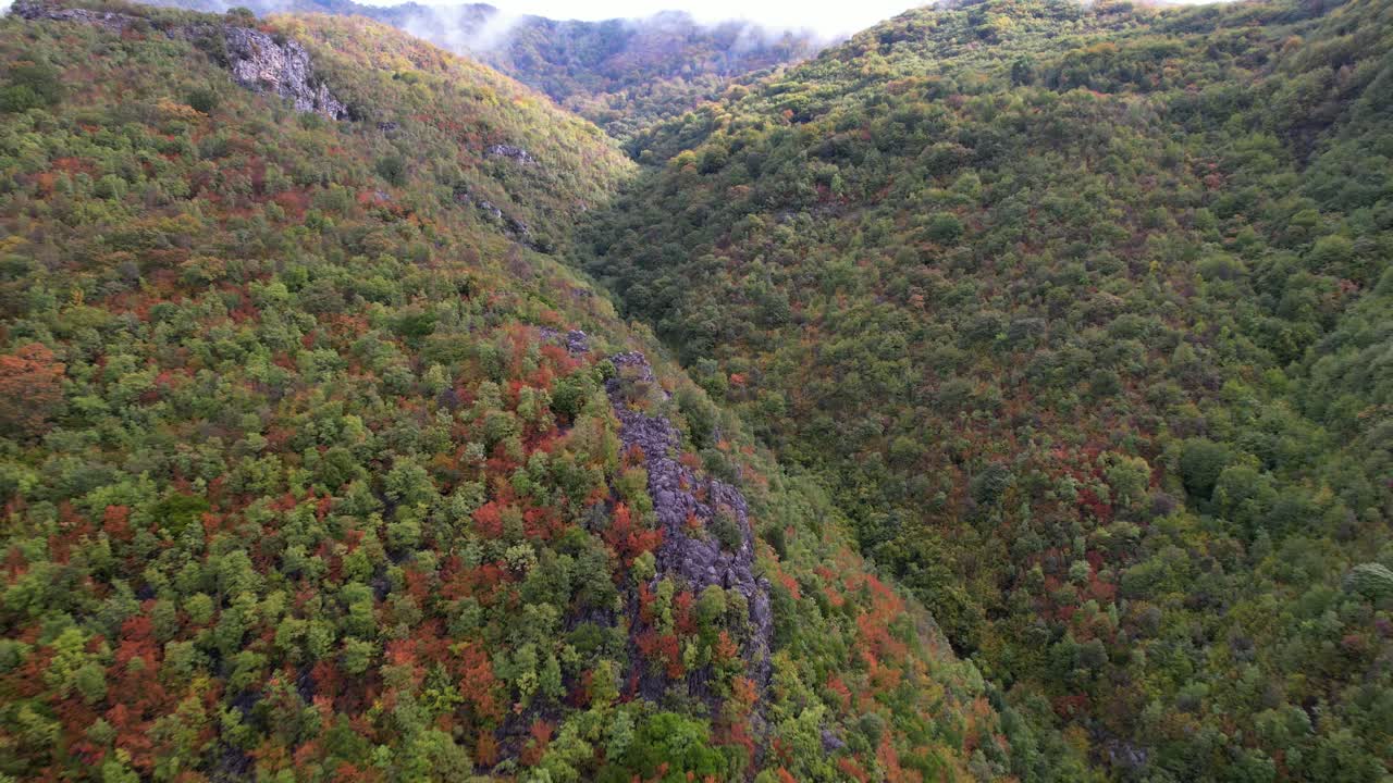 temporada de otoño en montañas con densos bosques de follaje colorido, árboles verdes marrones