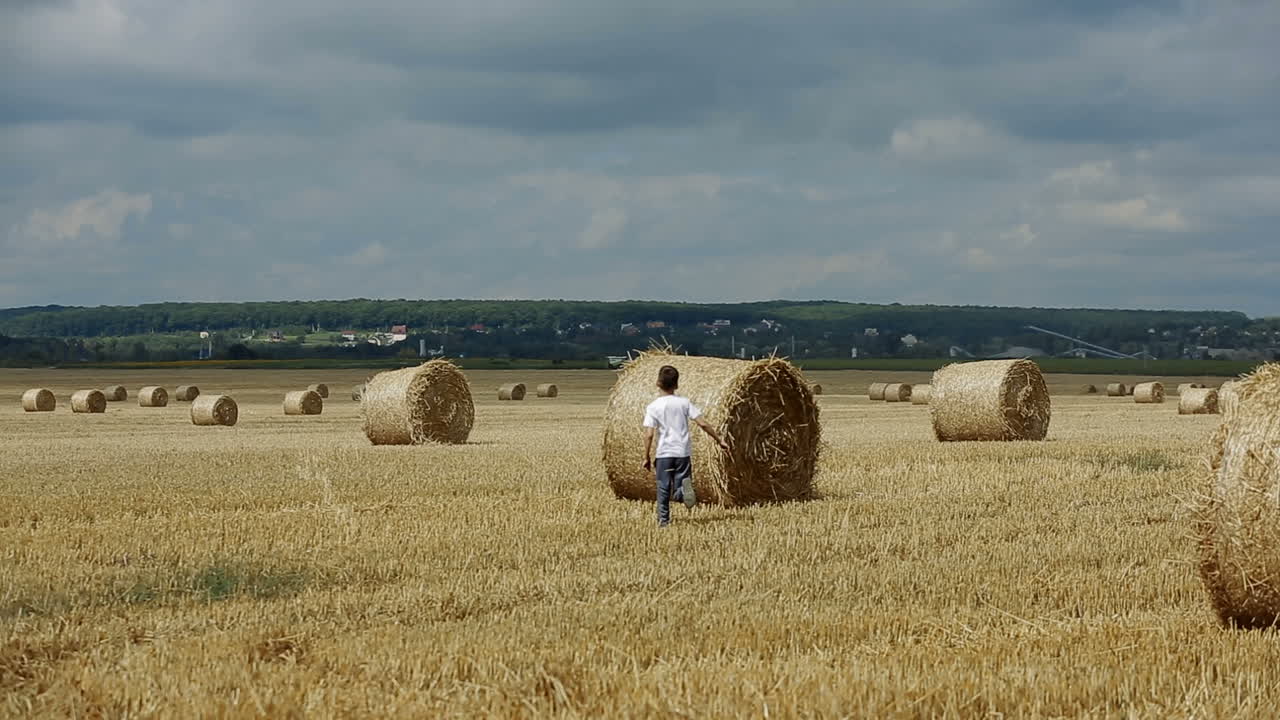 Child Boy In The Field. Child boy in the field against straw bales