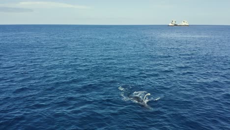 Buckelwal-Rollt-Und-Trifft-Auf-Wasser-Mit-Revillagigedo-Inseln-Im-Hintergrund