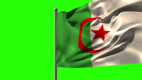 Algeria-national-flag-waving-on-flagpole