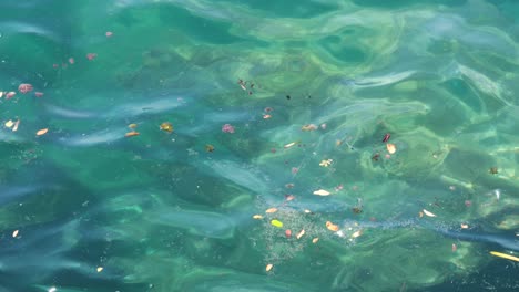 debris floating on turquoise sea water