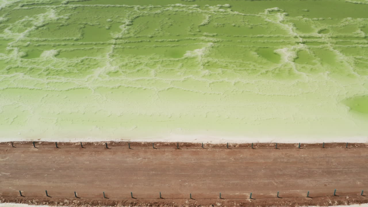 el lago verde salino y el paraguas de playa, fondo de lago natural.