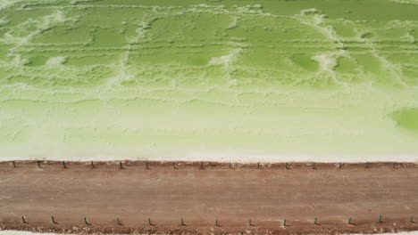 the green saline lake and beach umbrella, natural lake background.