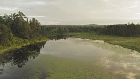 Flying-over-Shirley-bog-green-algae-Summer-sunset