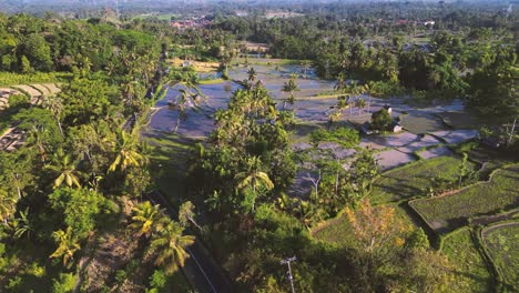 bird eye view of rice paddies in the countryside of bali - indonesia 2023