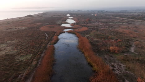 idyllic colourful autumn golden costa brava meadow shore aerial view