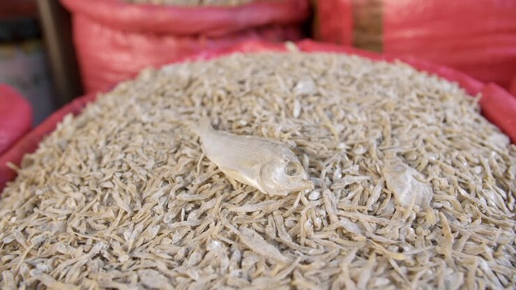 Dried fish for sale in hispanic markets