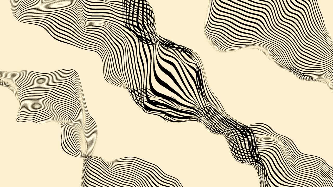 Abstract Black and White Geometric Pattern