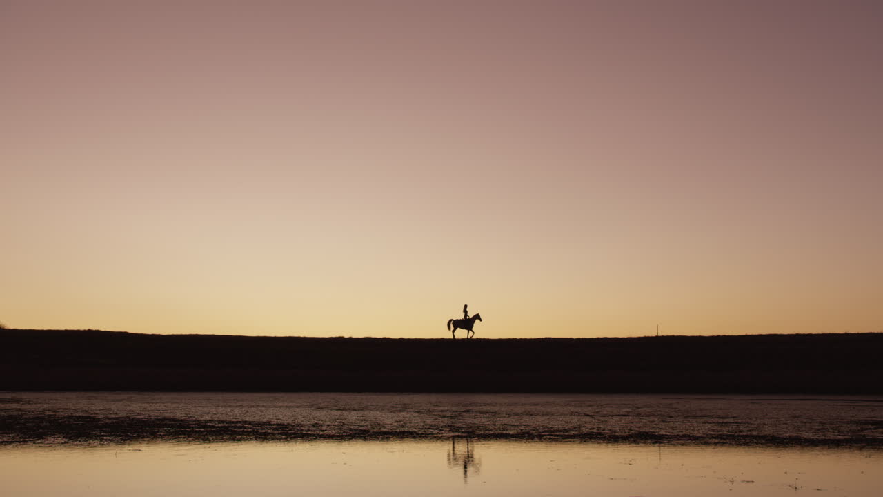 농장 에서 말 을 타고 있는 실루 ⁇  된 여자