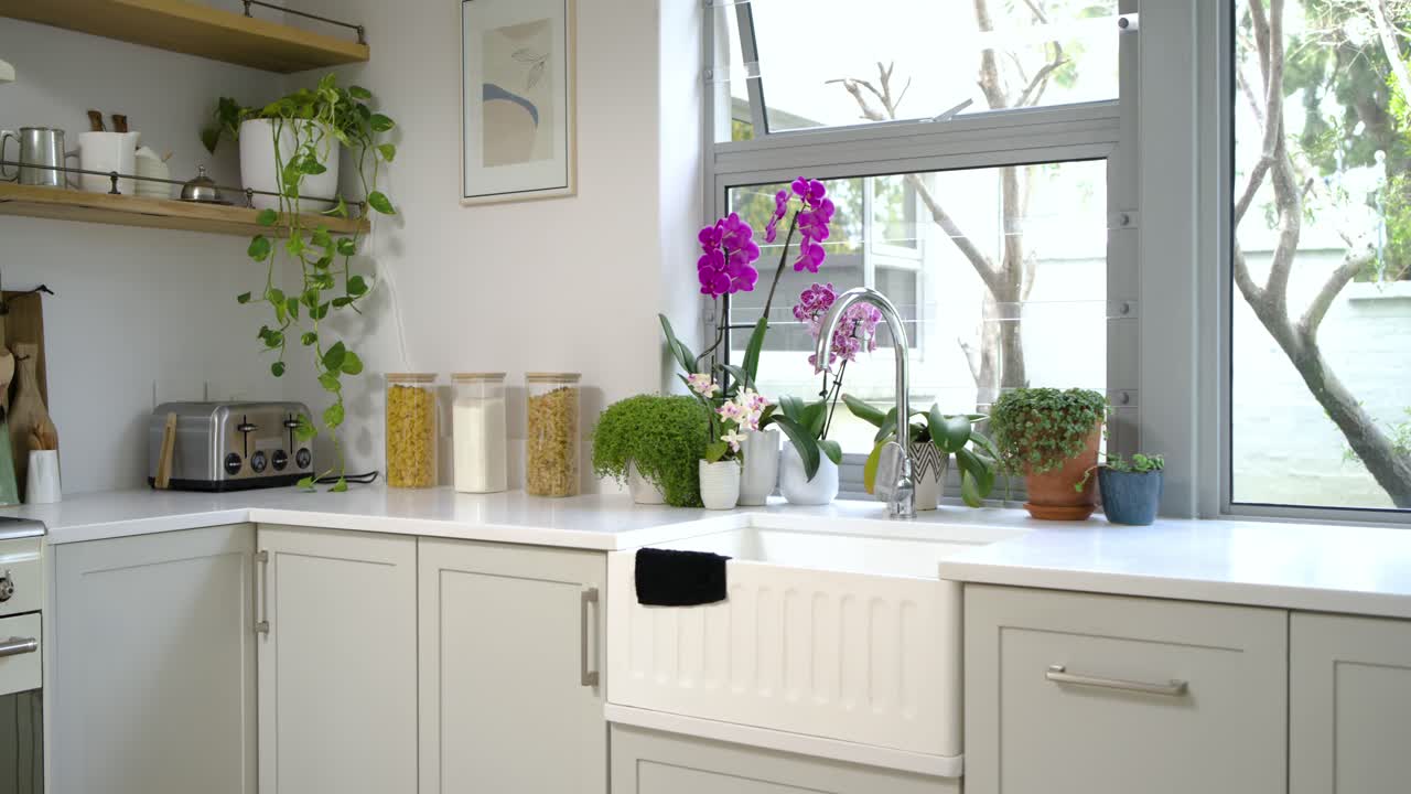 La telecamera si allontana, rivelando una pianta frondosa in vaso e un angolo di cucina con barattoli e orchidee