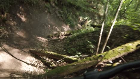 riding downhill and jumping with the mtb bicycle in lithuanian forest