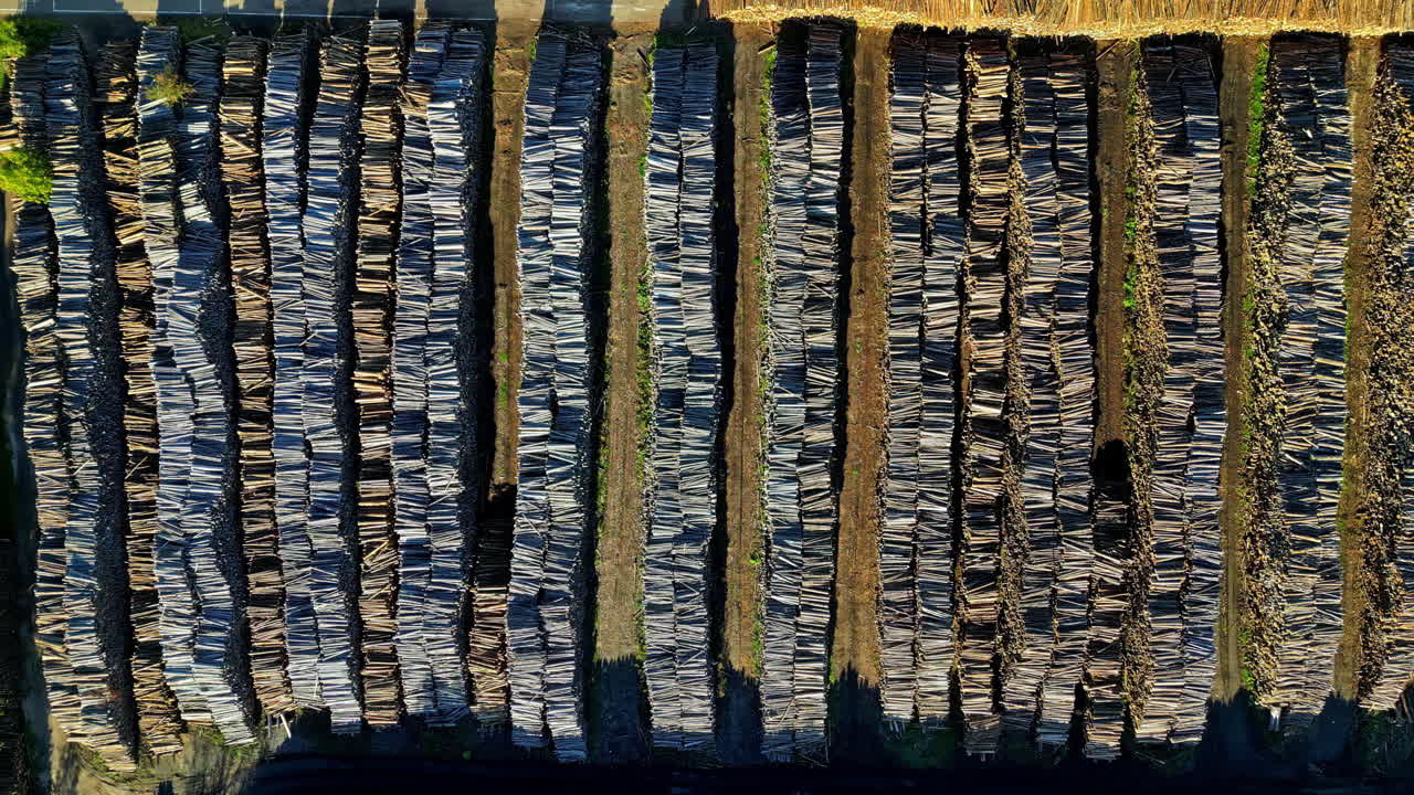 Overhead View Of Rows Of Logs In A Pile - Pile Of Woods. - aerial shot