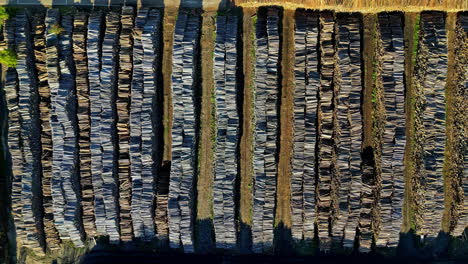 overhead view of rows of logs in a pile - pile of woods. - aerial shot