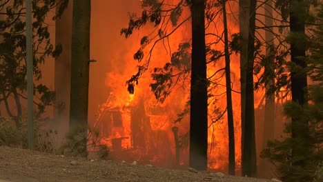 home burns during large wildfire