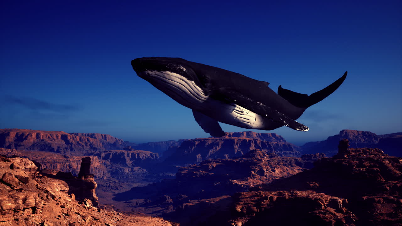Humpback whale soaring above the rugged canyon landscape in twilight