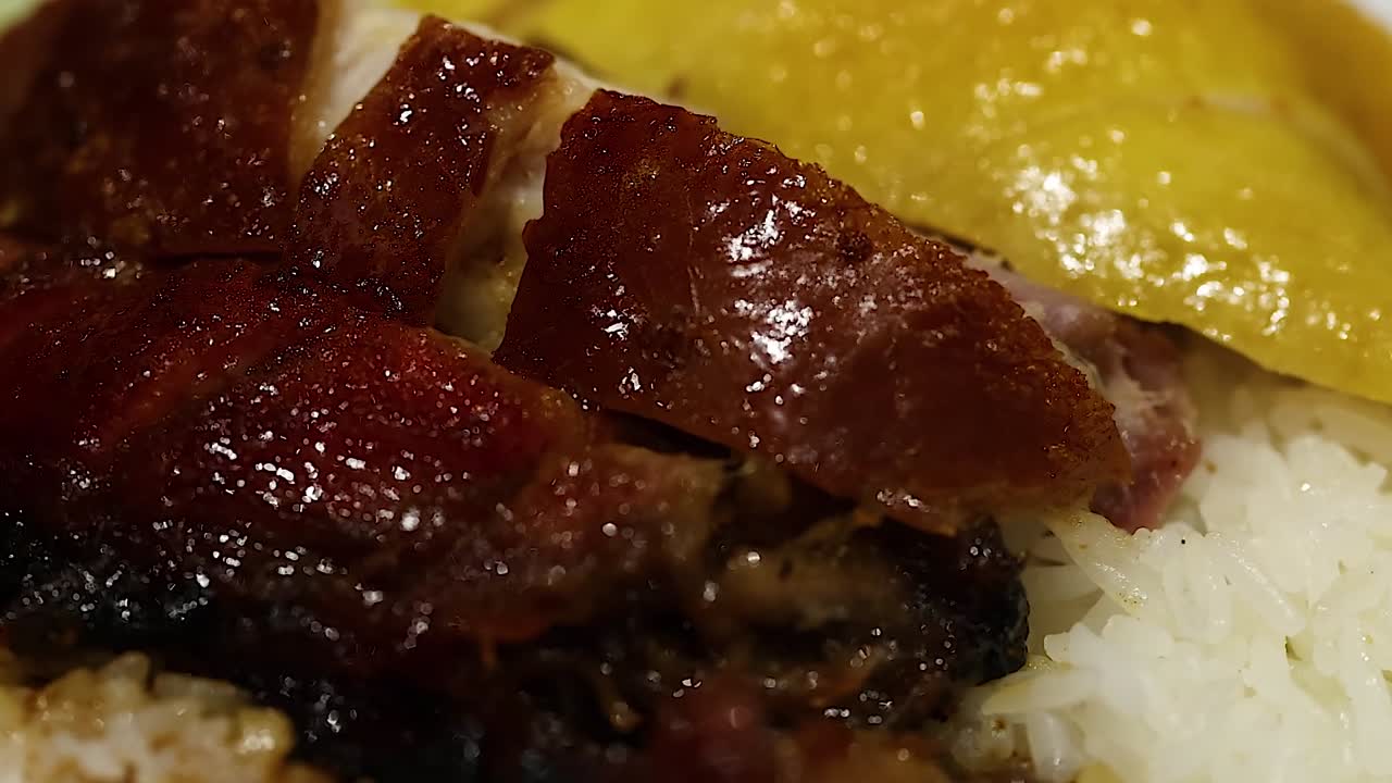 Detailed view of roasted duck and chicken slices served on a bed of white rice.