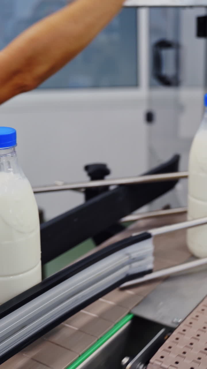 Milk bottles on a conveyor line. Bottles with white milk and blue lids moving on automated conveyor belt in a modernized dairy plant. Vertical video