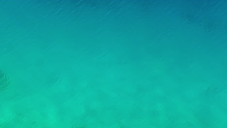 turquoise sea water surface upper view background.