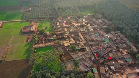 aerial over village town surrounded by date groves in sindh