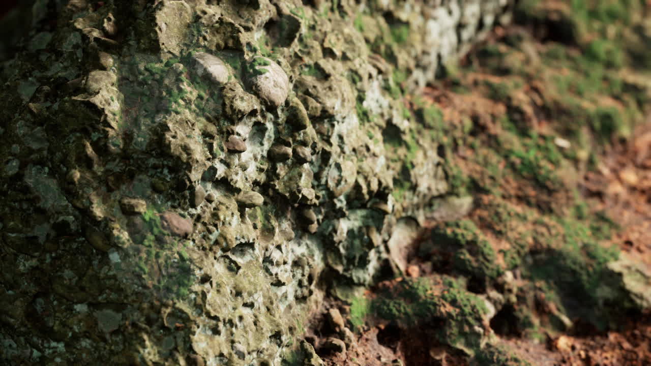 바위 돌 형성이 가까이 있습니다.