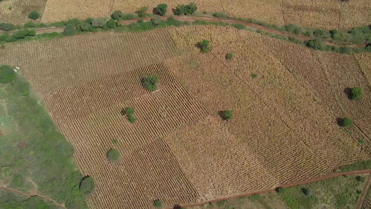 Aerial view over farmlands in Rural, sunny East Africa - tracking, drone shot