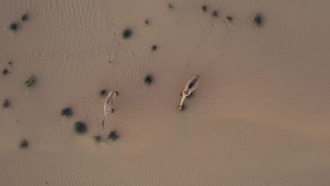 imágenes de drones en 4k, una carretera entre el desierto, la mitad de la carretera del desierto de dubái, el paisaje geológico del alto desierto de dunas en los emiratos árabes unidos, videos de drones