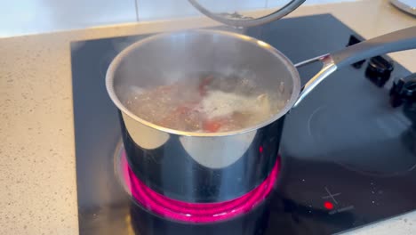 water boiling in pot on induction stove