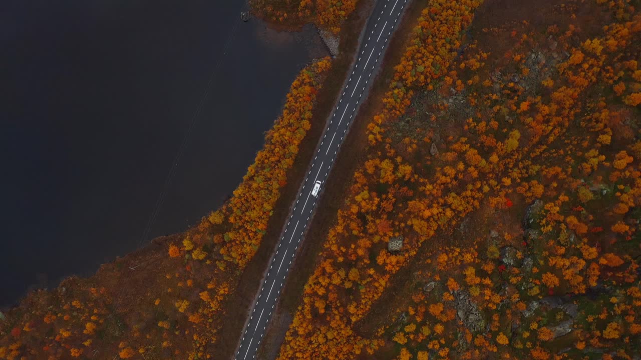 A scenic autumn road through colorful trees along a lake, vestarelen, norway, aerial view