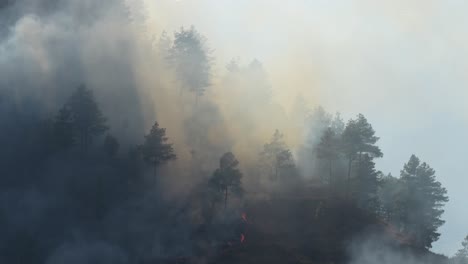 a wildfire burning a steep hillside in nepal in the dry season with smoke reaching into the sky