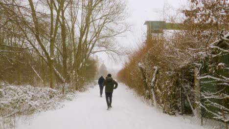 Tourist-hiking-in-the-forest-during-snowfall