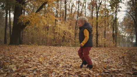 little child is walking in forest at autumn day enjoying crunch of leaves on ground and having fun happy kid at nature studying environment