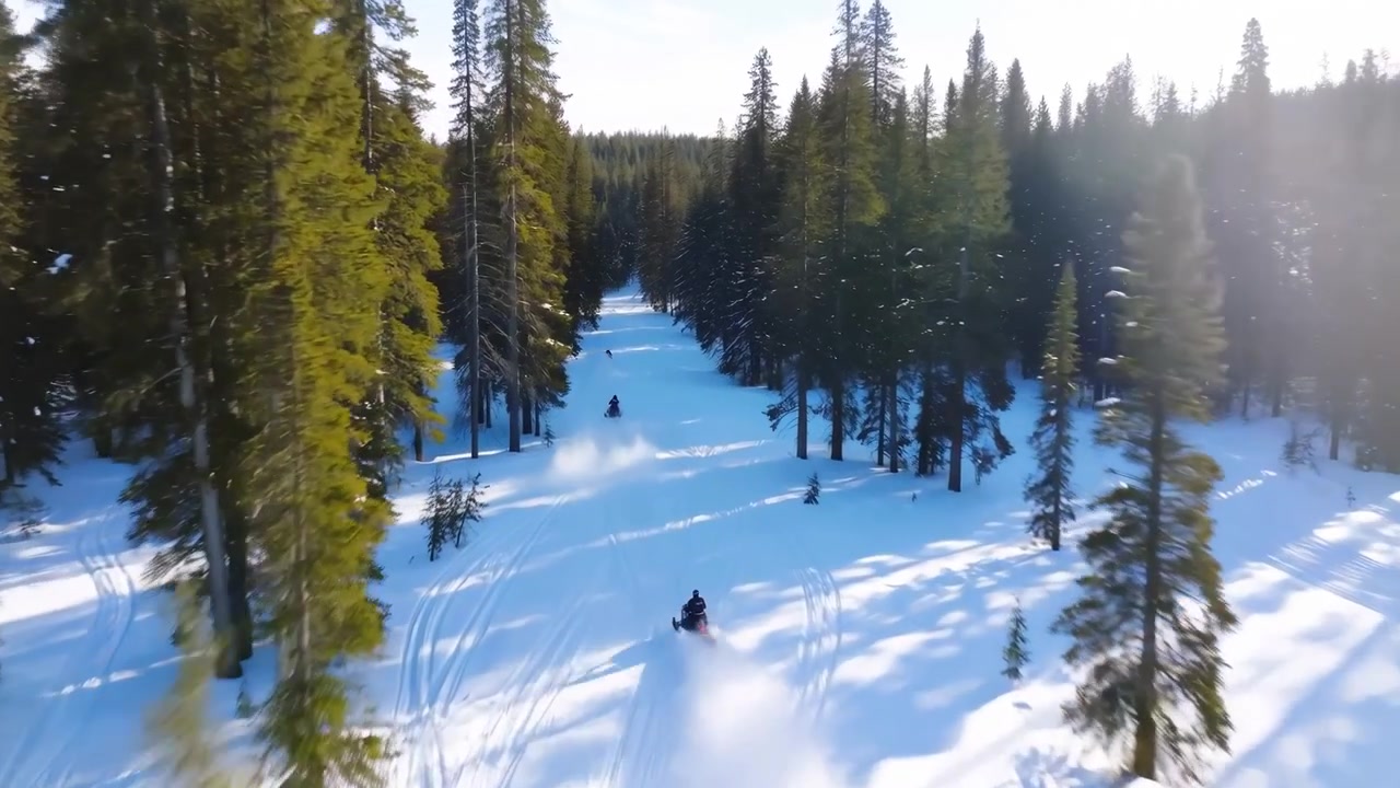Vista aerea di un pilota di motoslitta che viaggia lungo un sentiero innevato attraverso alti pini, con due piloti distanti più avanti e lunghe ombre che si estendono attraverso il