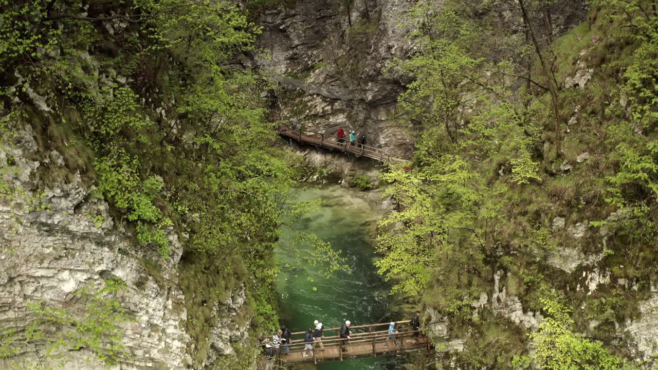 camino de madera a través de un bosque de cañón