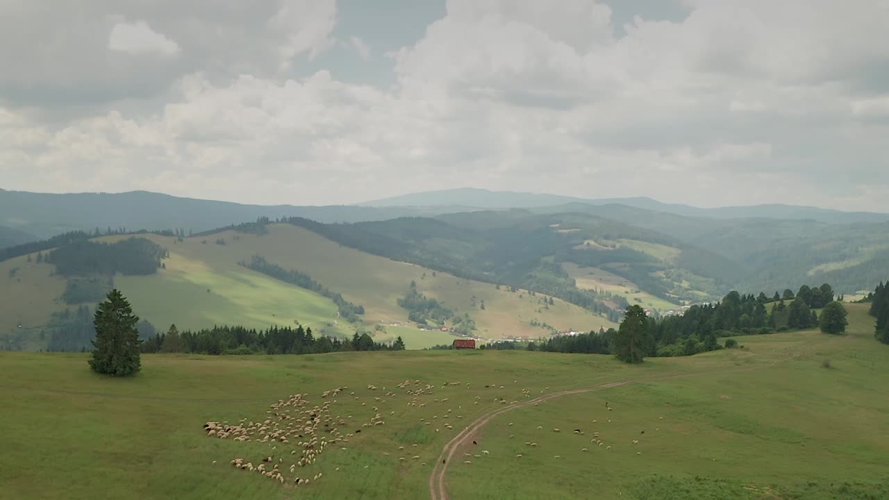 Vista aerea di una campagna con montagne e pecore al pascolo
