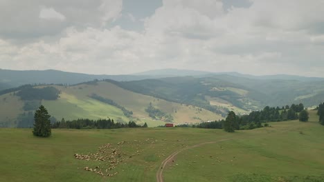 Vista-Aérea-De-Un-Campo-Con-Montañas-Y-Ovejas-Pastando